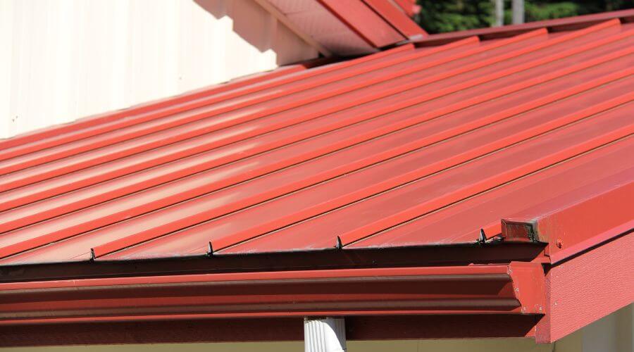 Professional gutter cleaning in New Holland, SD